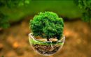 بهره برداری چند طرح محیط زیستی