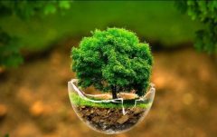 بهره برداری چند طرح محیط زیستی