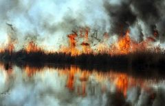 وسعت آتش سوزی در تالاب انزلی به ۴۰ هکتار رسید