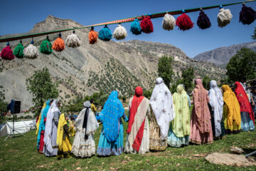 «شیردنگ بافی»