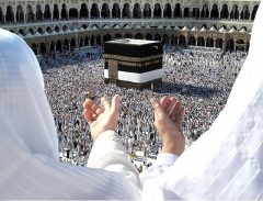 حج هنوز قیمت ندارد/ نام‌نویسی جدید عمره نداریم