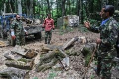 شکارچیانی که شکار شدند