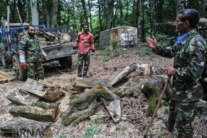 شکارچیانی که شکار شدند