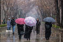 اختیار اعلام تعطیلی با استانداران است/بررسی گلایه شهروندان تهرانی در وزارت کشور