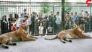 باغ وحش‌های کشور رتبه‌بندی می‌شوند