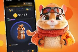 همستر؛ رویایی که بر باد رفت