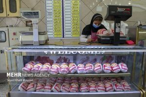 عرضه مرغ تا هفته آینده متعادل می‌شود