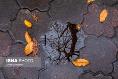 پاییز امسال دیرتر آغاز می‌شود/ پیش‌بینی کم‌بارشی در سال جاری