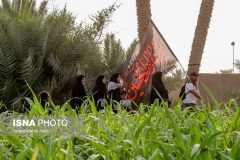 پیاده روی زائران اربعین از مسیر طریق العلما