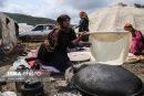 بیمه شدن زنان روستایی دارای ۳ فرزند