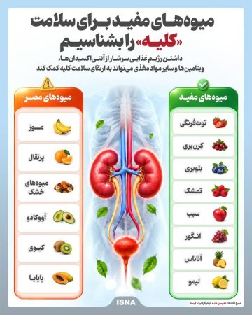  میوه‌های مفید برای سلامت «کلیه» را بشناسیم
