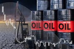 علت افزایش قیمت نفت بعد از نشست ترامپ با رئیس جمهور چین