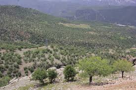ابلاغ سند جامع زاگرس