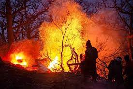 سه تا ۱۰ سال حبس برای آتش زدن عمدی جنگل‌ها