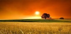 انتظار تابستانی گرم‌تر از حد معمول را در سراسر ایران داریم