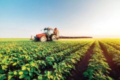 اهمیت اقتصاد روستا محور