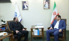 دکتر دنیا مالی: انجمنهای ورزشی، فدراسیونی مهم و تاثیرگذار در ورزش کشور است