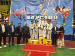 گیلان بر بلندای مسابقات هاپکیدو WHC قهرمانی کشور ایستاد